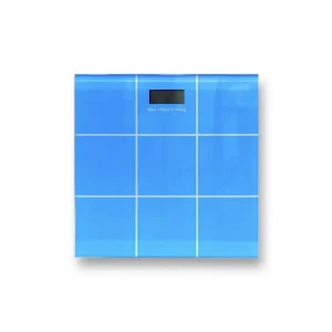 Focusbody Weight Scale Blue 2008C Focus
