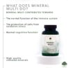 GA717-mineral-multi-INFO2.jpg