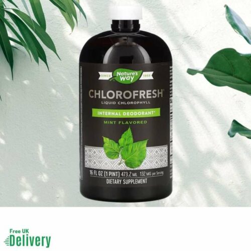Natures-Way-Chlorofresh-Mint-768x768-1.jpg