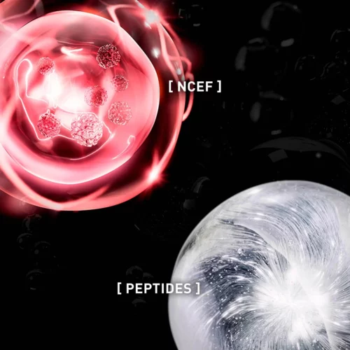 en-3540550017242-uv-cellular-protect-face-pdp-6