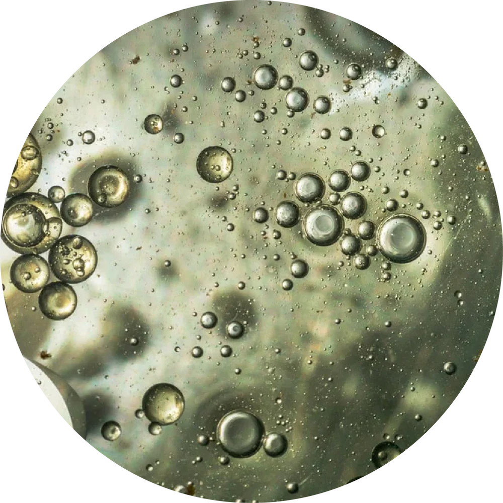 Propylene Glycol
