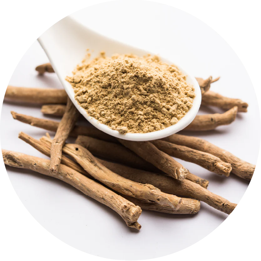 Valerian Root