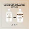 sheamoisture-100-virgin-coconut-oil-daily-hydration-shampoo-13-oz-764302204176-5018399.jpg