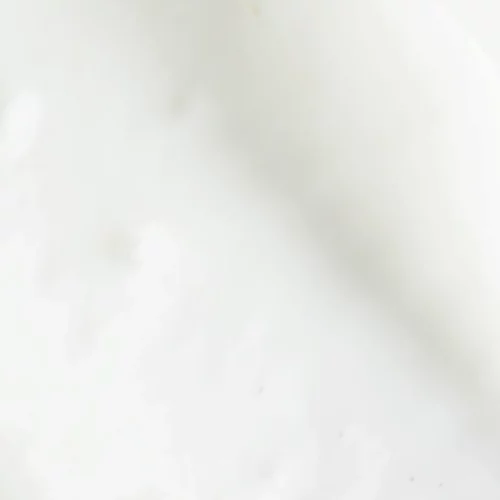 PHOTOHA_TXR.webp