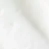 PHOTOHA_TXR.webp