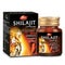 Shilajit Cap 30S