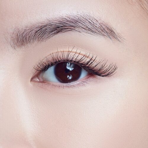 91WpuO66-cL._AC_SL1500_.jpg
